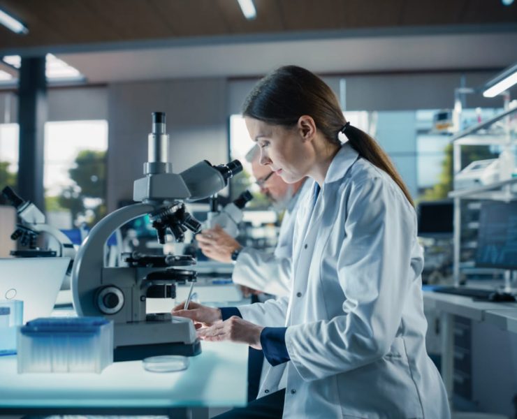 WhatsApp Image 2025-11-18 at 8.33.23 PM (1)